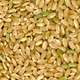 Arroz integral. Wikimedia Commons